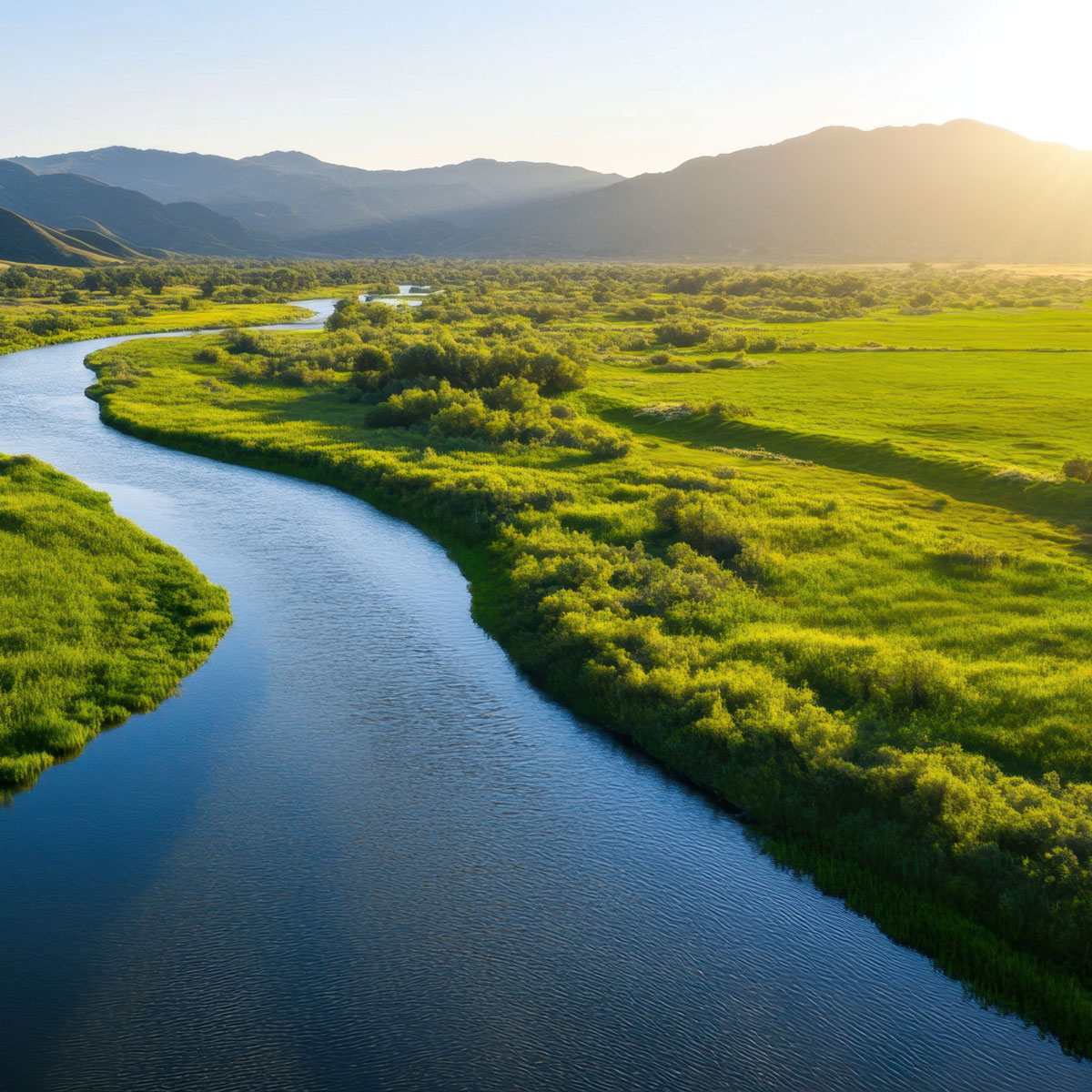 PACS Central Valley California